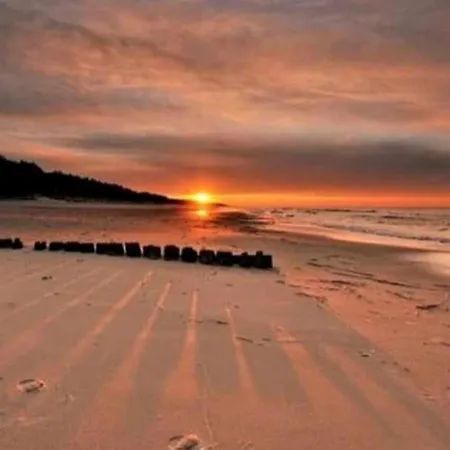 Fala Alloggio in famiglia